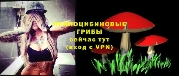 шишки Богородск