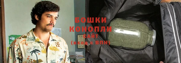 шишки Богородск