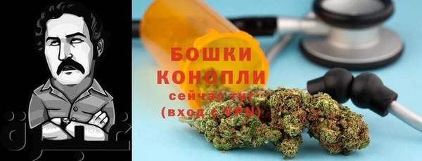 гидропоника Богданович