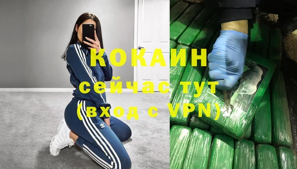 шишки Богородск