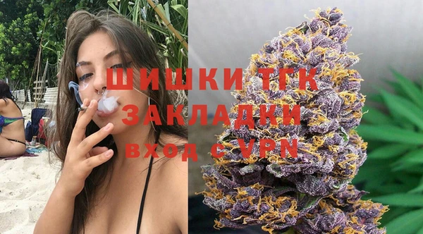 гидропоника Богданович