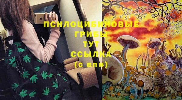 шишки Богородск